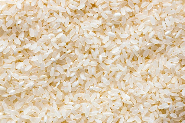 Rice